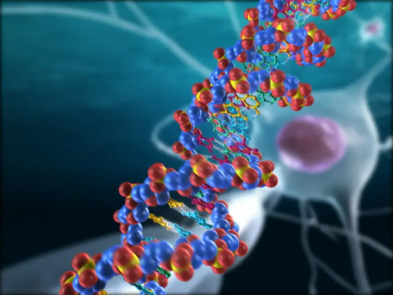 3d representation of DNA helix