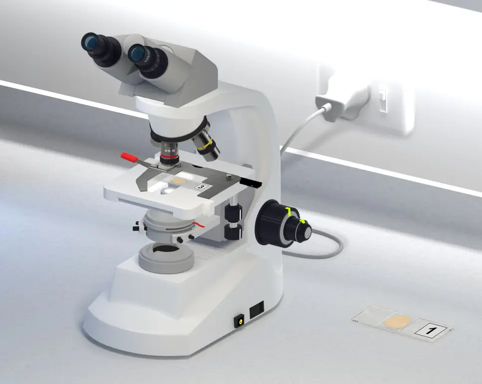 3D graphic of a compound microscope sitting on a lab benchtop