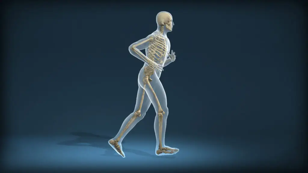 Side view of a 3D human male running with skeleton shown.