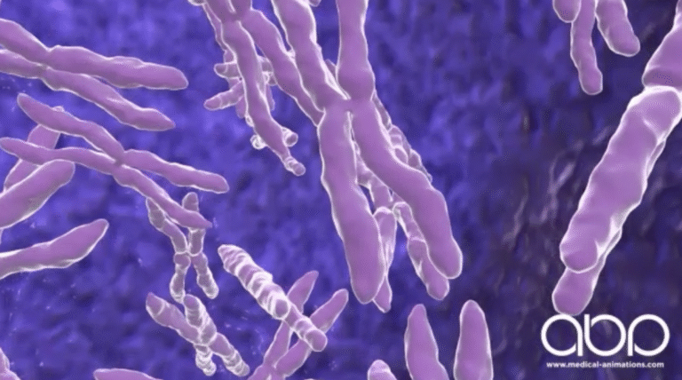 3D animation of human chromosomes rendered in purple against a blue cellular background, depicting DNA structures in motion, created by Animated Biomedical Productions (ABP).