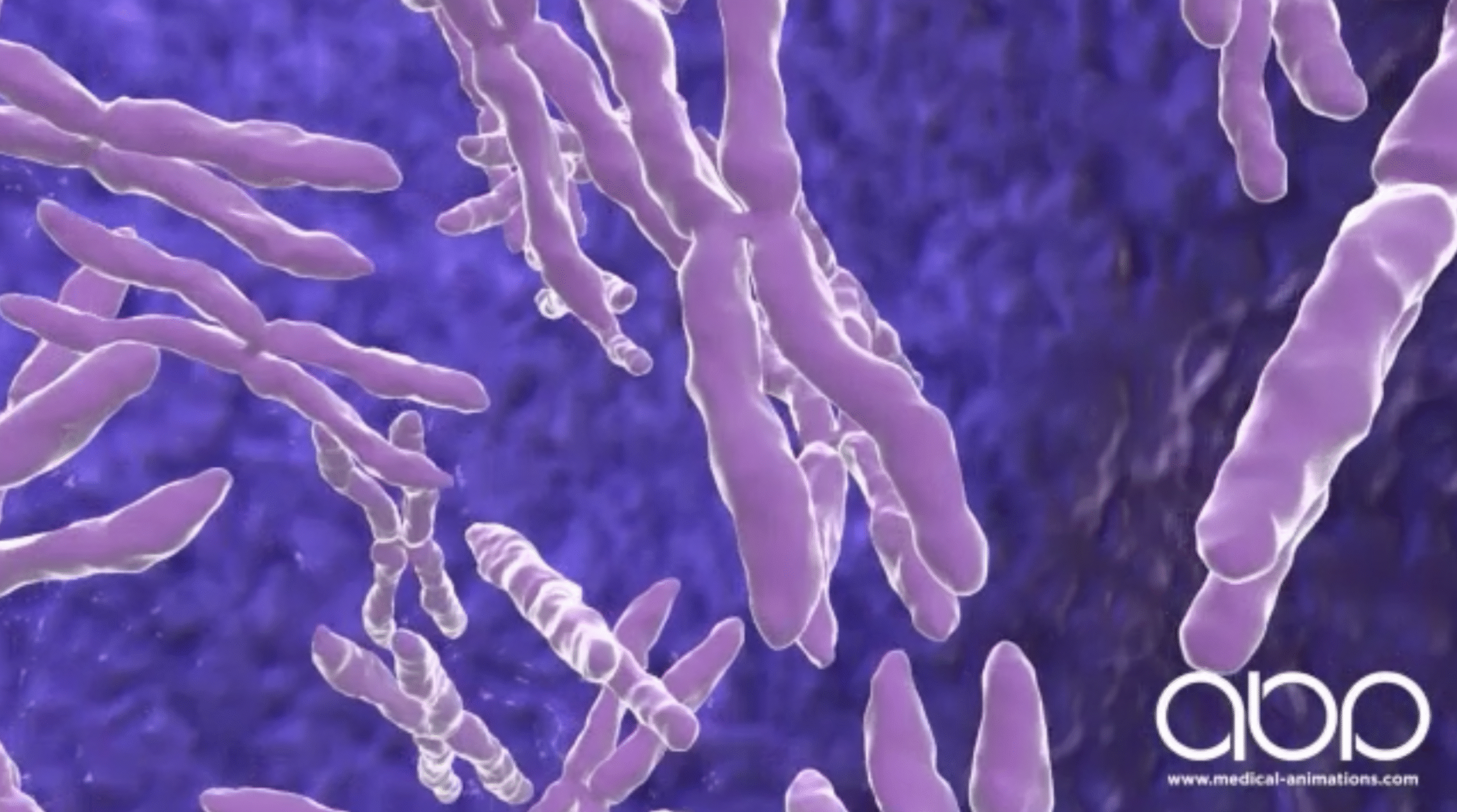 3D animation of human chromosomes rendered in purple against a blue cellular background, depicting DNA structures in motion, created by Animated Biomedical Productions (ABP).